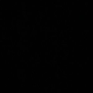 Meet your Posher, Hailey